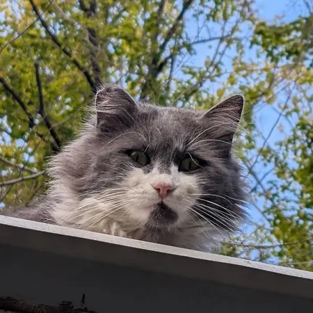 Διαμέρισμα Center Haus